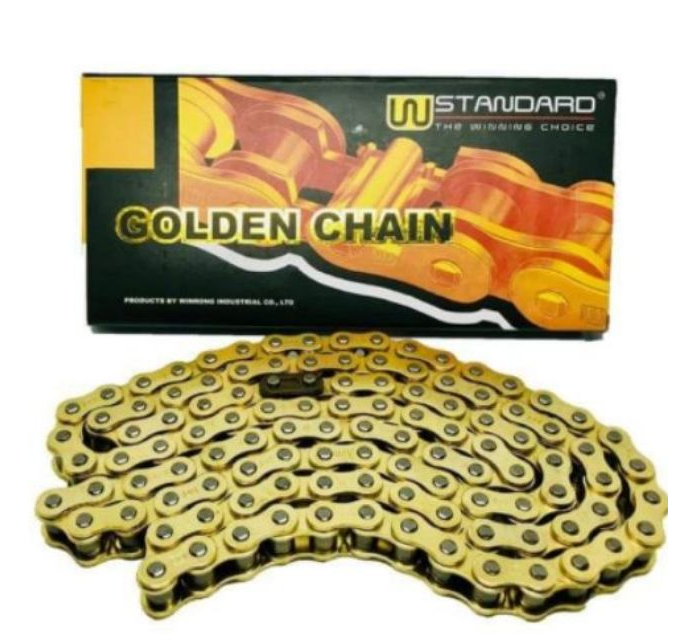 W STANDARD CHAIN - 520HO-120L