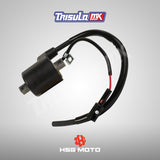 KAWASAKI COIL IGNITION KLX 150 - 21121-0036